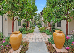 Read more about the article 717 Spring Garden